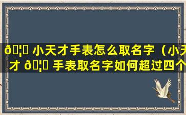 🦊 小天才手表怎么取名字（小天才 🦍 手表取名字如何超过四个字）